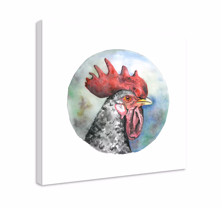Dipinto con uccelli ritratto di gallo - TenStickers