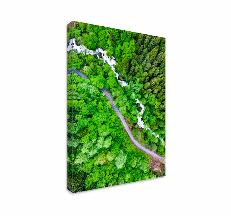 Dipinto di paesaggio fiume forestale tortuoso - TenStickers