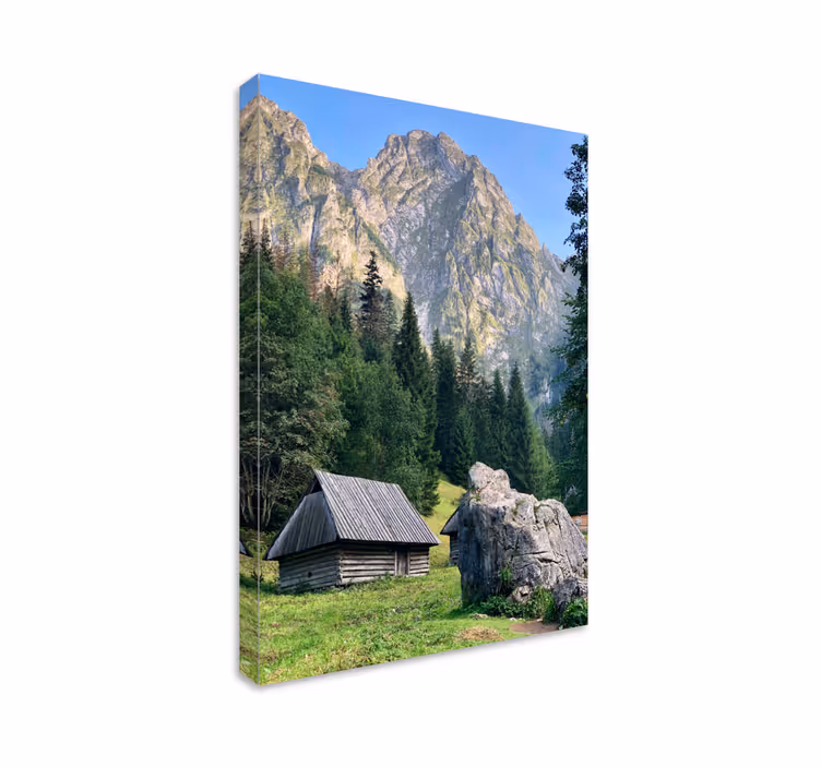 Dipinto di paesaggio scena di foresta montuosa - TenStickers