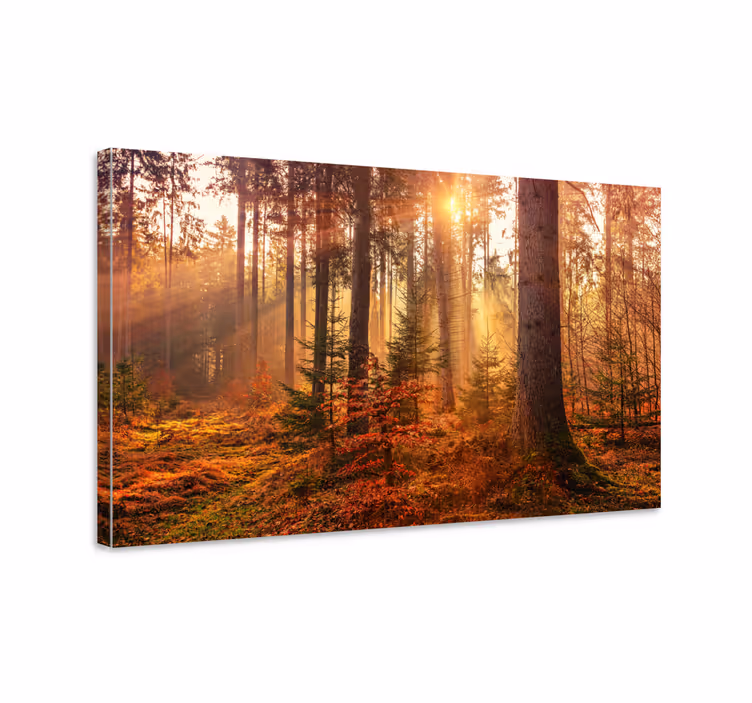 Dipinto alberi serenità della foresta - TenStickers