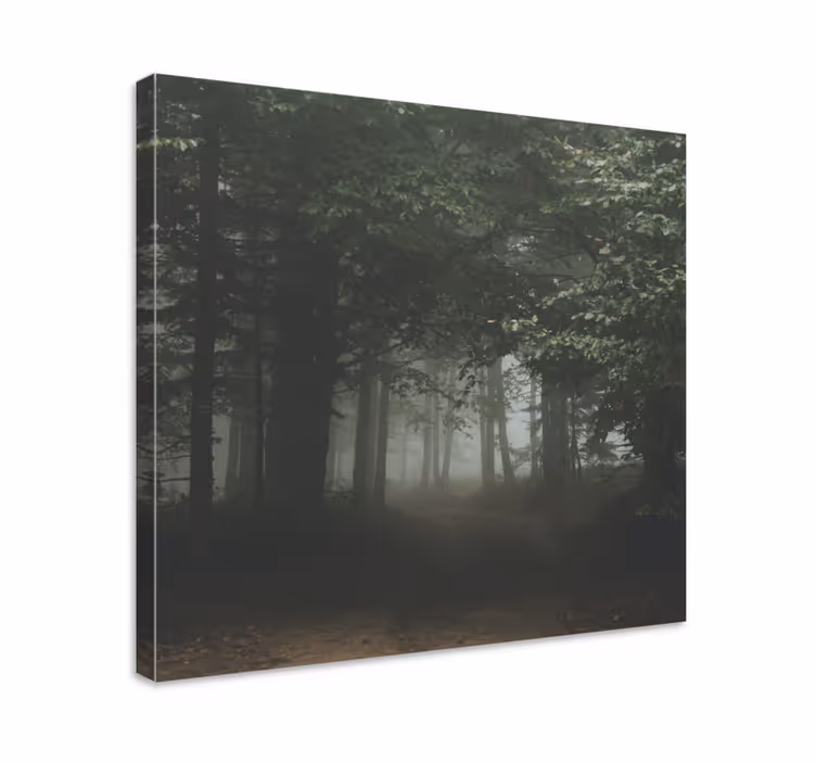 Dipinto di paesaggio sentiero nel bosco velato - TenStickers