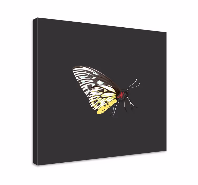 Dipinto con farfalle profilo di farfalla elegante - TenStickers