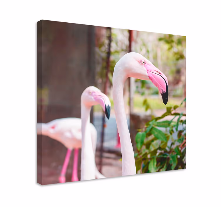 Dipinto con uccelli fenicotteri eleganti insieme - TenStickers