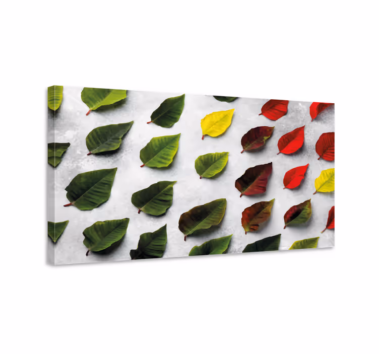 Dipinto con fiori e piante collezione di foglie diverse - TenStickers