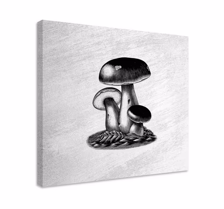 Dipinto con fiori e piante trio di funghi - TenStickers
