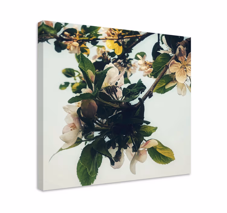 Dipinto con fiori e piante ramo di mela in fiore - TenStickers