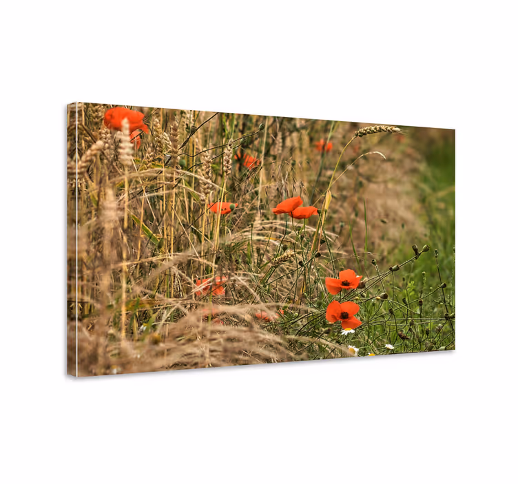 Dipinto con fiori e piante campo di papaveri vibrante - TenStickers