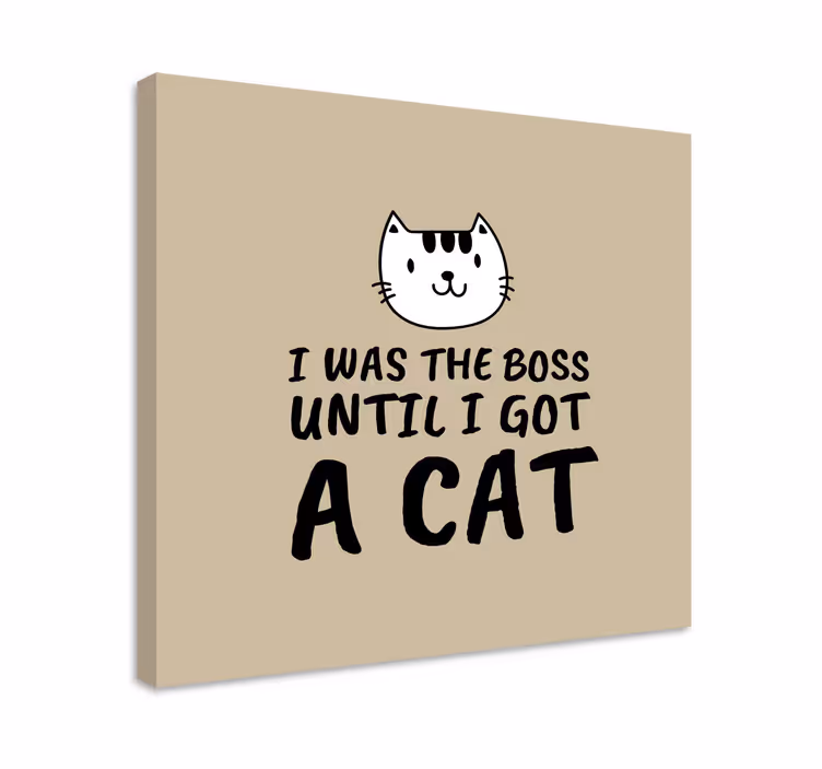 Dipinto gatto citazione divertente sui gatti - TenStickers