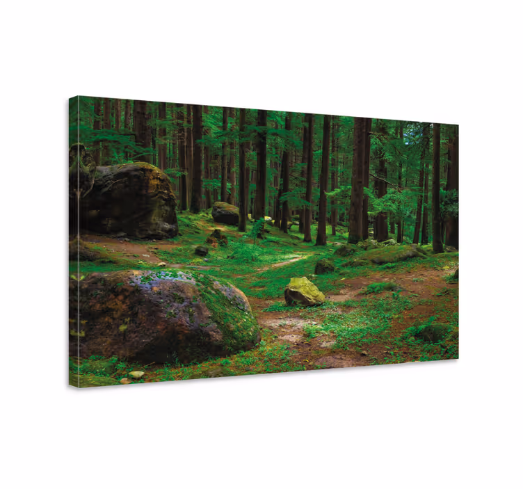 Dipinto alberi sentiero forestale lussureggiante - TenStickers