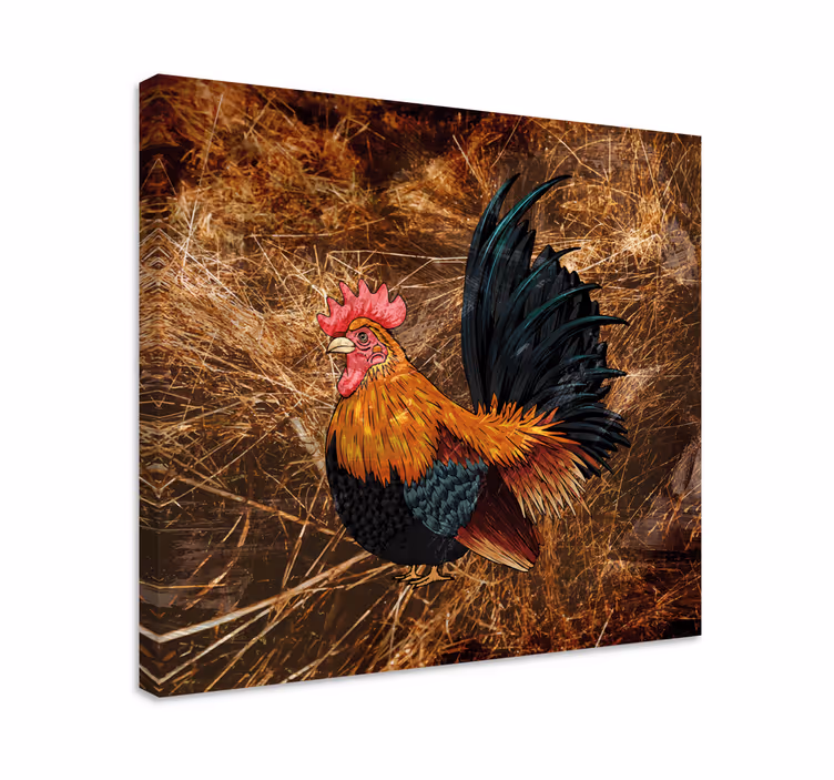 Dipinto con uccelli gallo colorato - TenStickers