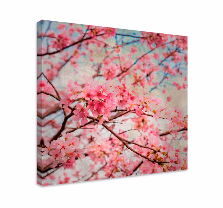 Dipinto con fiori e piante fiori di ciliegio - TenStickers