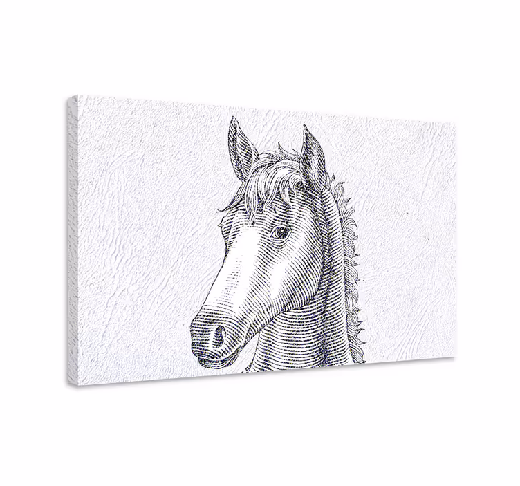 Dipinto con cavallo schizzo elegante di cavallo - TenStickers
