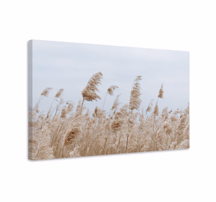 Dipinto con fiori e piante brezza di erba morbida - TenStickers