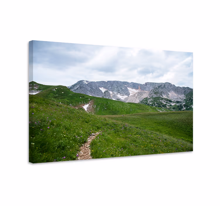 Dipinto di paesaggio sentiero di montagna serene - TenStickers