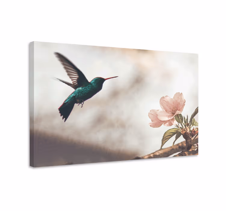 Dipinto con uccelli colibrì e fiori - TenStickers