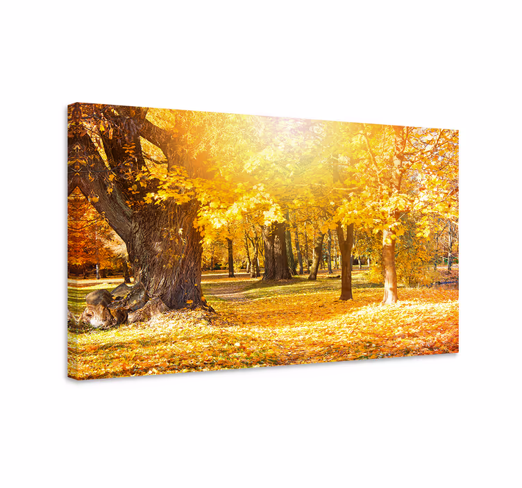 Dipinto alberi sentiero boschivo autunnale - TenStickers
