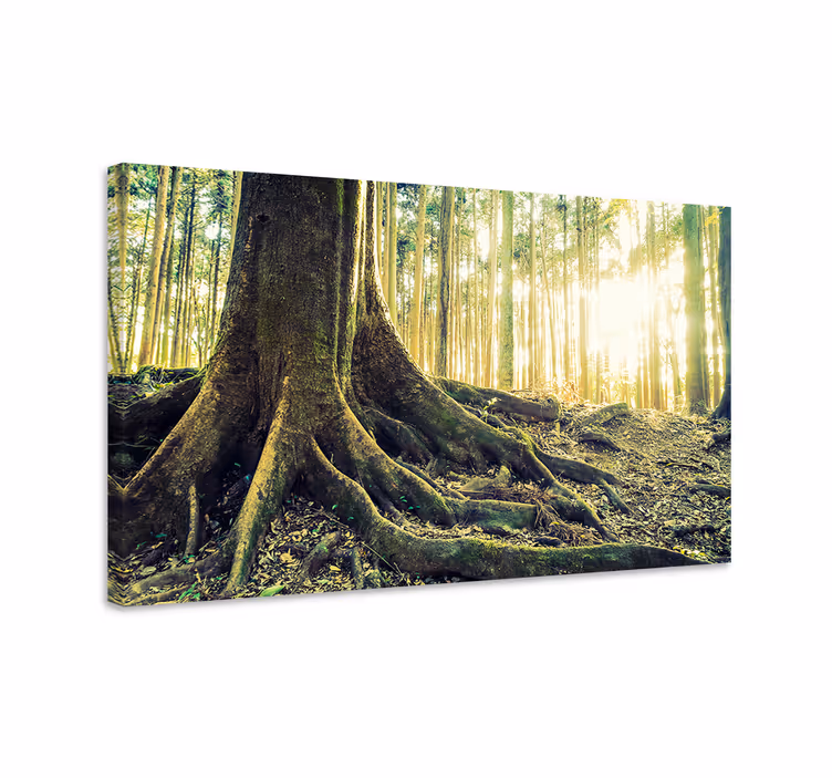 Dipinto alberi radici maestose - TenStickers