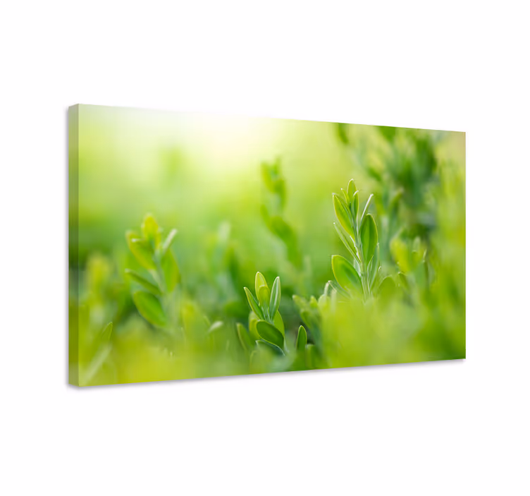 Dipinto con fiori e piante verde lussureggiante dettaglio - TenStickers