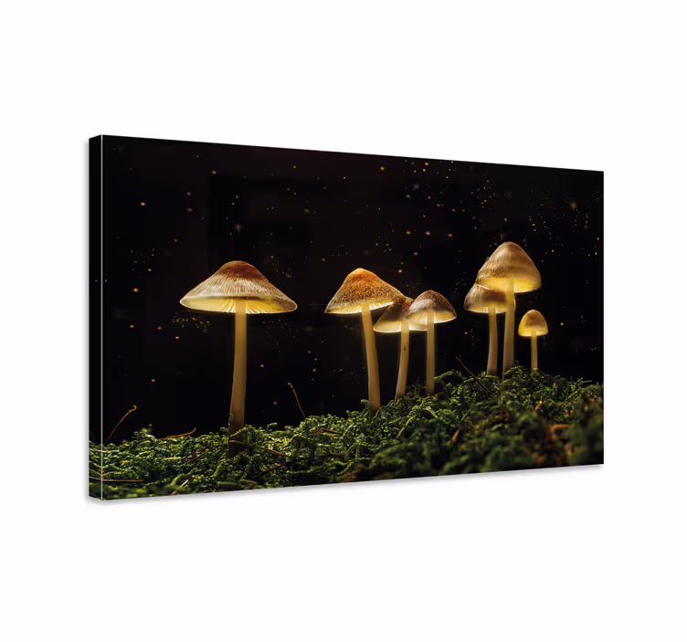 Dipinto con fiori e piante scena di funghi luminosi - TenStickers