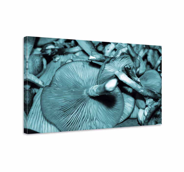 Dipinto con fiori e piante crescita dei funghi - TenStickers