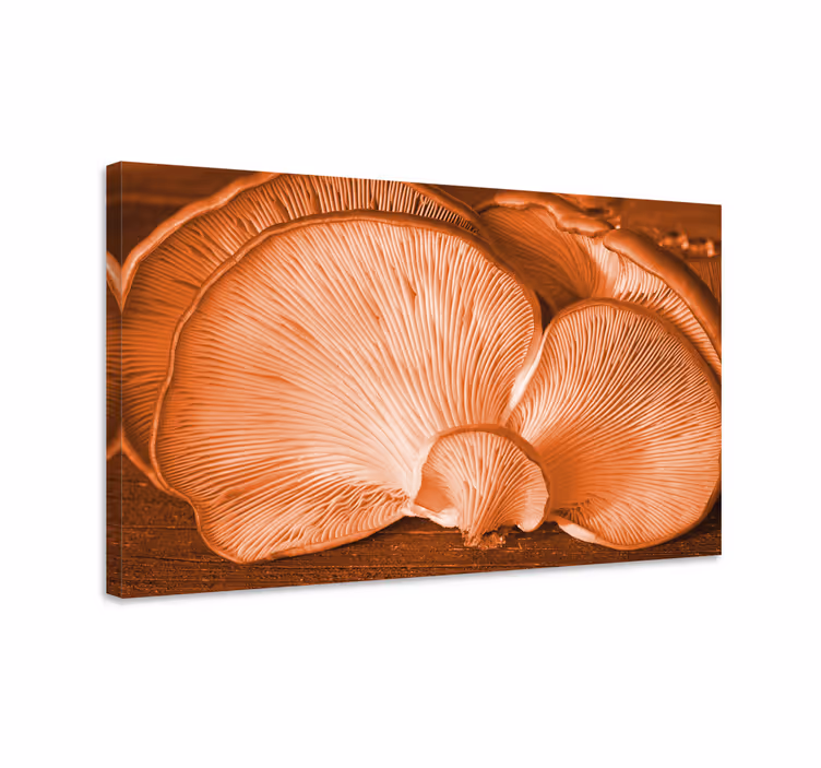 Dipinto con fiori e piante funghi ostrica in primo piano - TenStickers