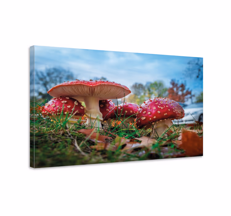 Dipinto con fiori e piante cluster di funghi rossi - TenStickers
