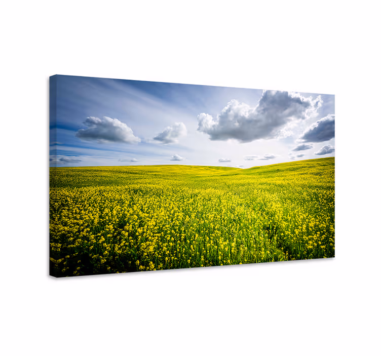 Dipinto di paesaggio campo giallo vibrante - TenStickers