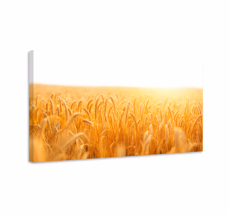 Dipinto con fiori e piante campo di grano dorato - TenStickers