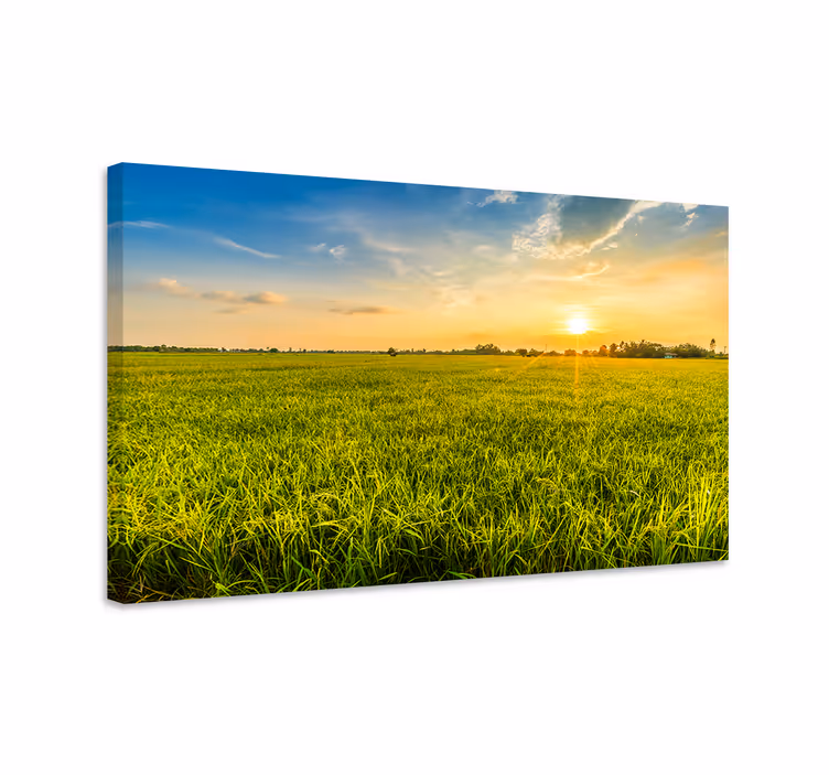 Dipinto di paesaggio tramonto sui campi - TenStickers