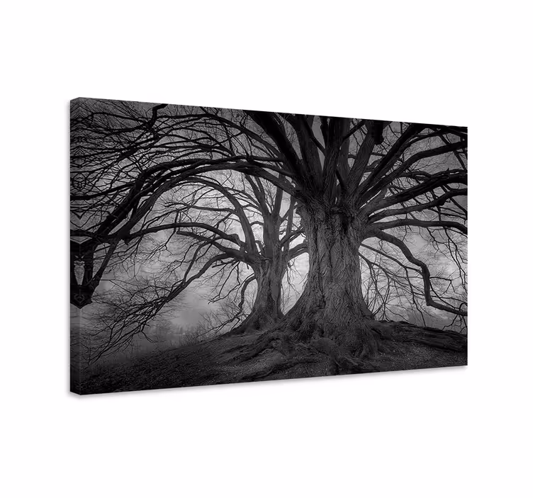 Dipinto alberi alberi misteriosi senza foglie - TenStickers
