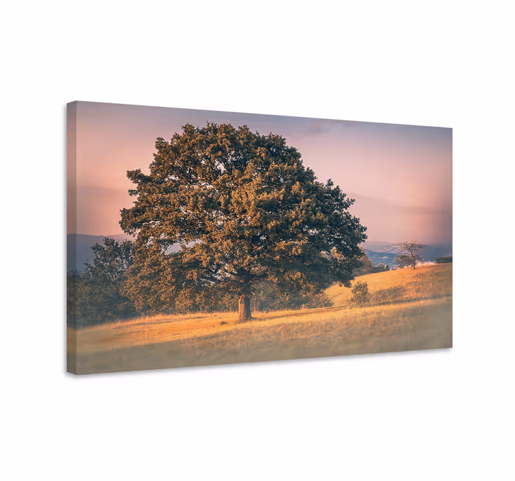 Dipinto alberi quercia maestosa - TenStickers