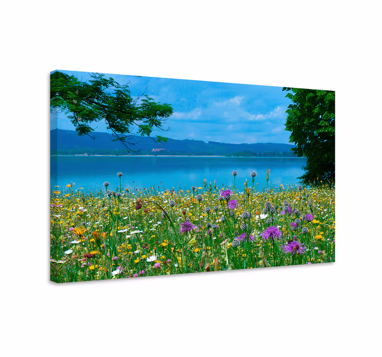 Dipinto con fiori e piante vista di prato fiorito - TenStickers