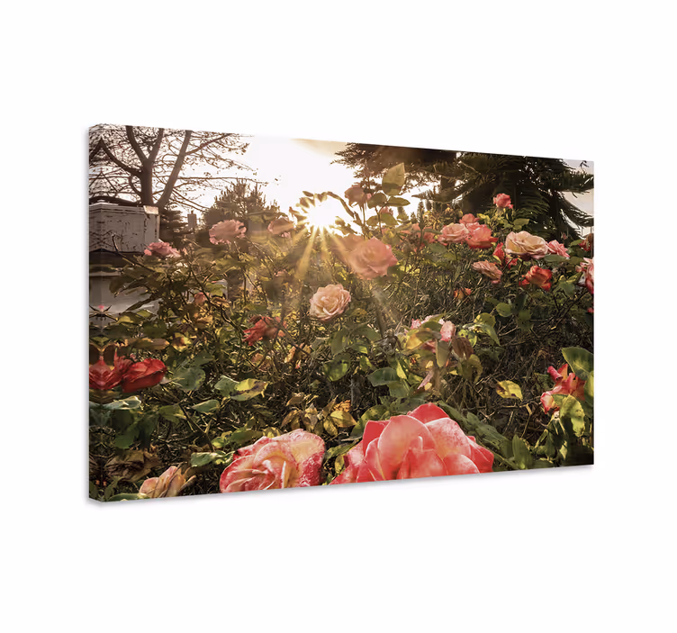 Dipinto con fiori e piante rose radianti - TenStickers