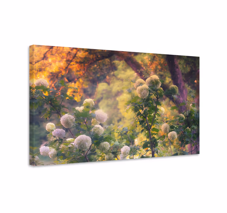 Dipinto con fiori e piante fiori di prato - TenStickers