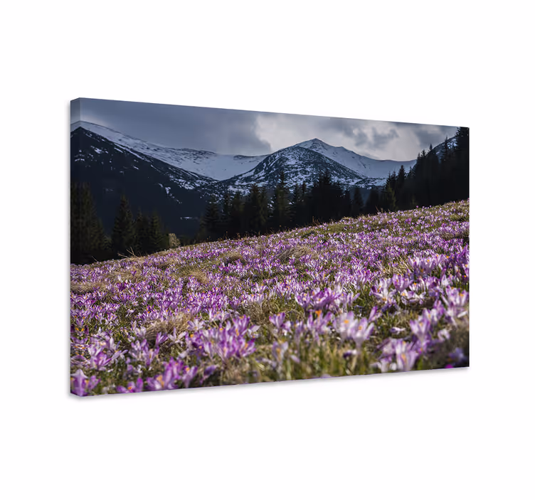 Dipinto con fiori e piante prato fiorito viola - TenStickers