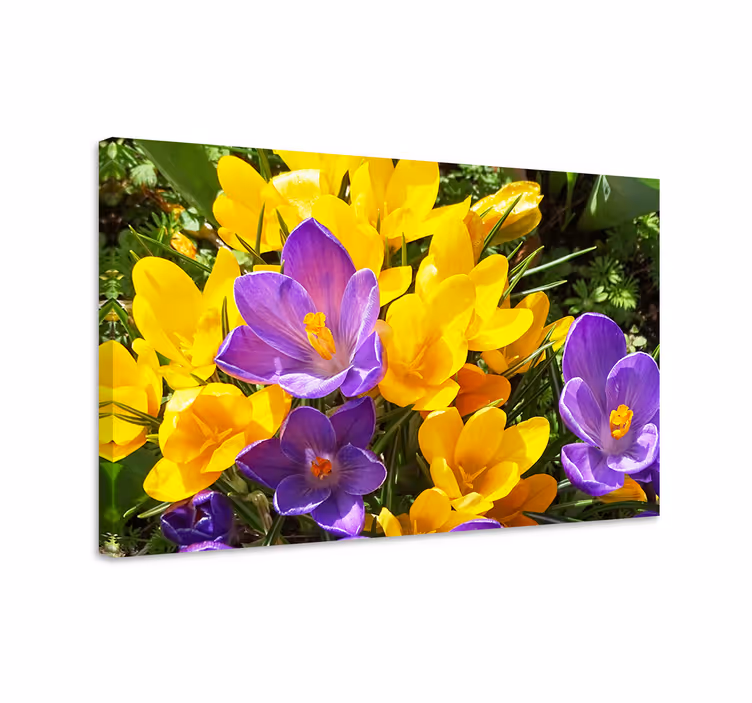Dipinto con fiori e piante fiori primaverili colorati - TenStickers