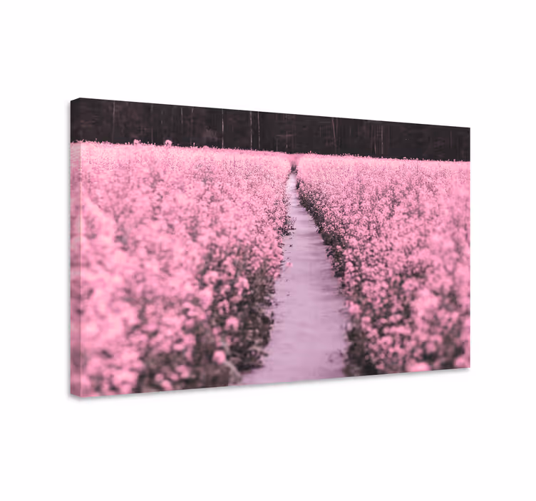 Dipinto con fiori e piante sentiero tra i fiori - TenStickers
