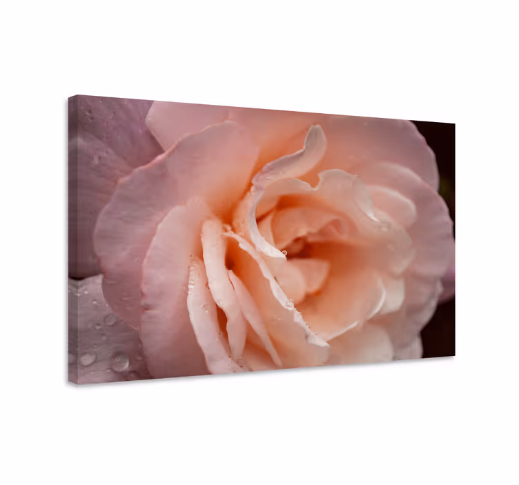 Dipinto con fiori e piante rosa delicata - TenStickers
