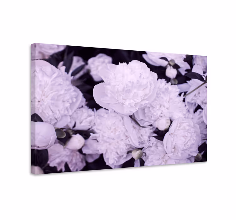 Dipinto con fiori e piante fiori di peonia viola - TenStickers