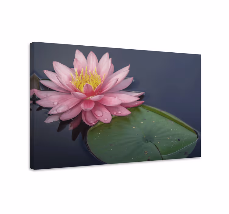Dipinto con fiori e piante fiore di ninfea - TenStickers