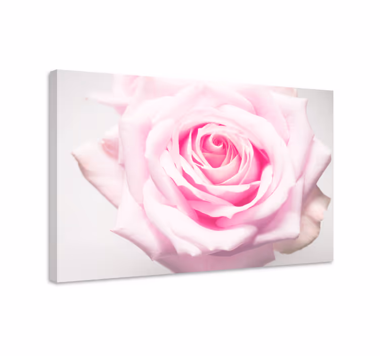 Dipinto con fiori e piante rosa blush fiorita - TenStickers