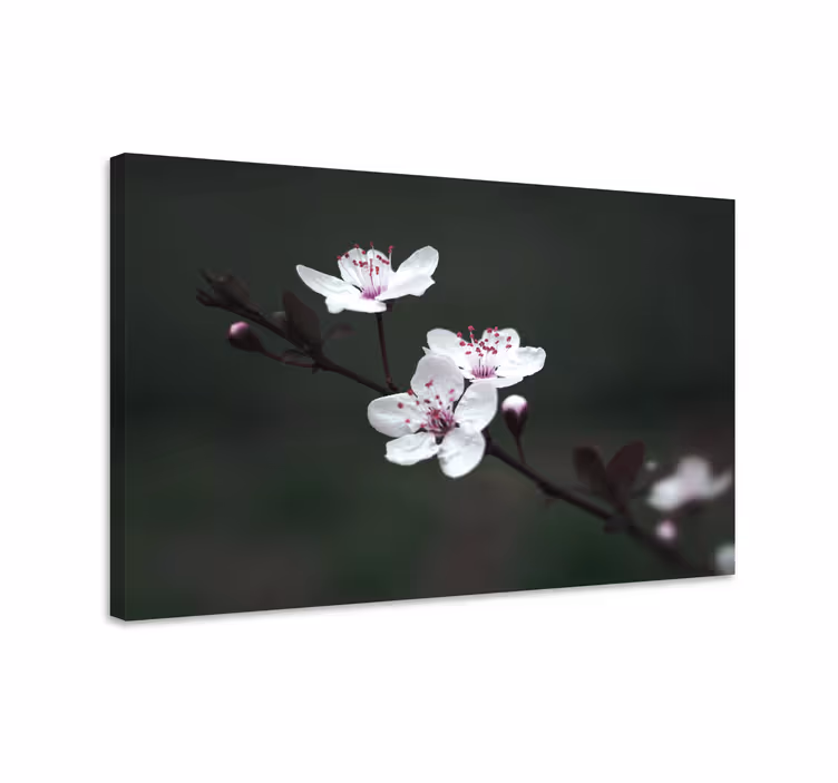 Dipinto con fiori e piante fiori delicati in fiore - TenStickers