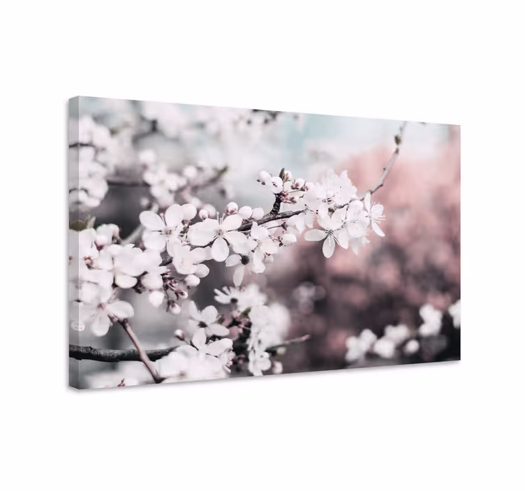 Dipinto con fiori e piante fiore di ciliegio bianco - TenStickers