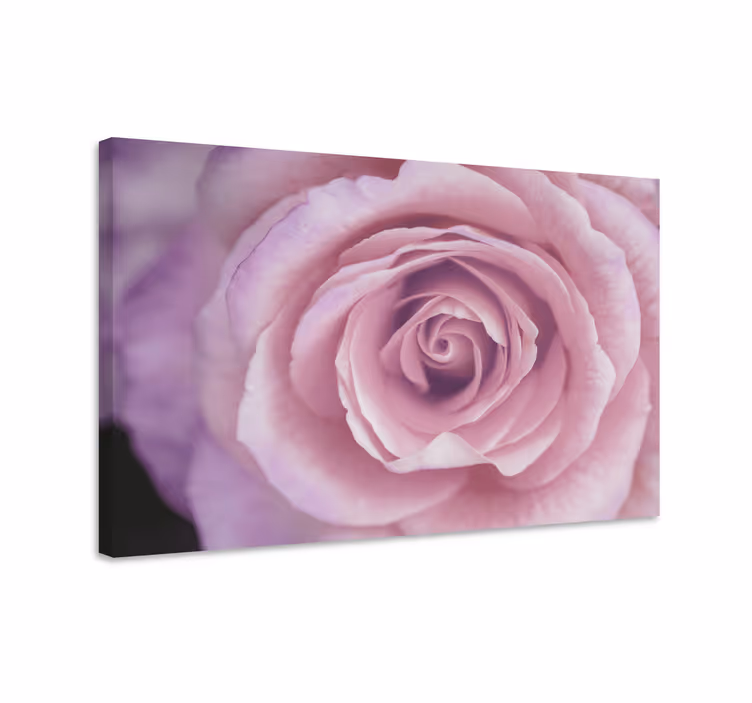 Dipinto con fiori e piante dettaglio floreale rosa - TenStickers