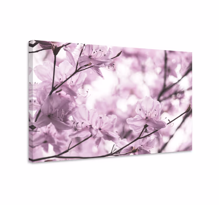Dipinto con fiori e piante fioriture delicate - TenStickers
