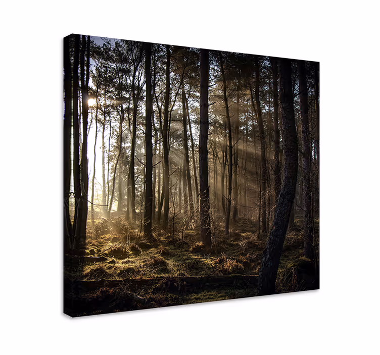 Dipinto di paesaggio scena foresta incantata - TenStickers