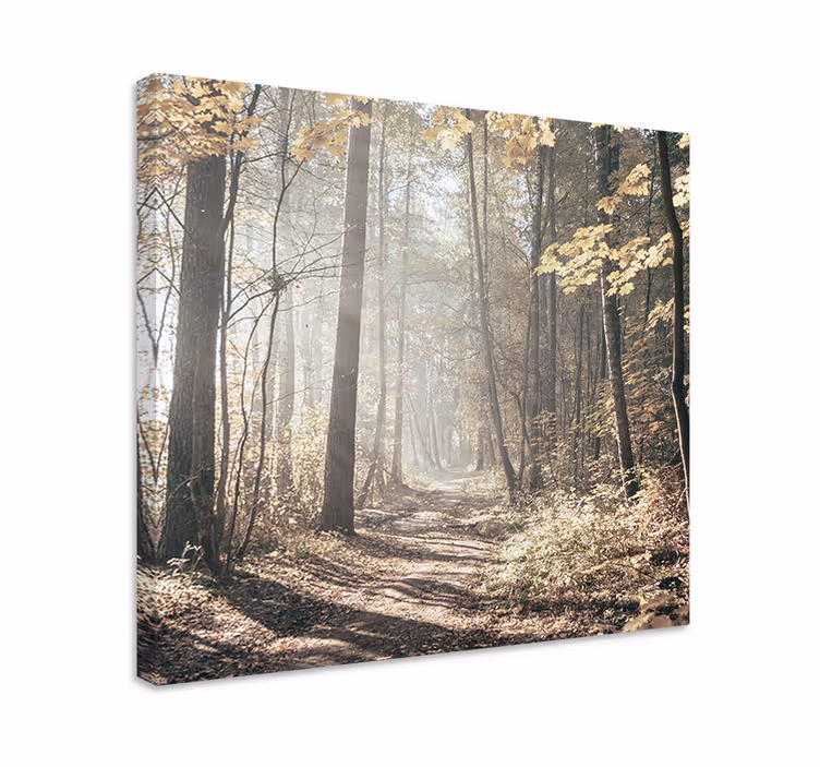 Dipinto di paesaggio sentiero coperto di nebbia - TenStickers