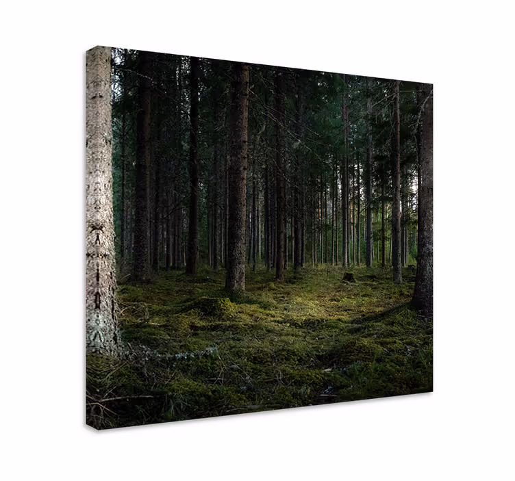Dipinto alberi profondità di una foresta serena - TenStickers