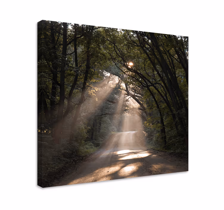Dipinto di paesaggio sentiero nel bosco soleggiato - TenStickers