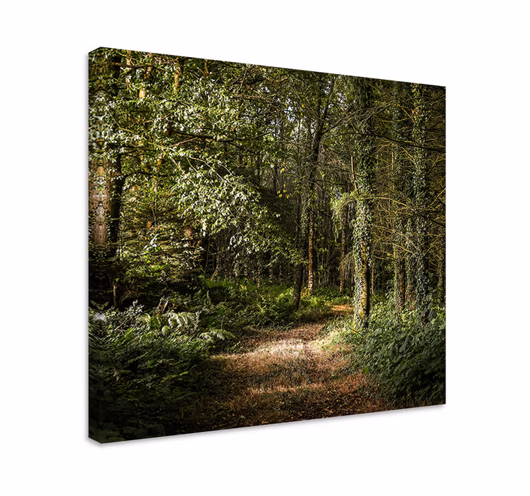 Dipinto di paesaggio vista del sentiero nel bosco - TenStickers